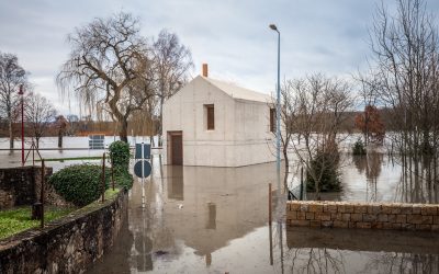 POmKqZr0aCJ3RoNGcBjD