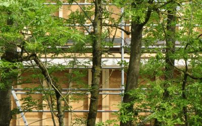 rOWFU5DhzP1cInN4okLb